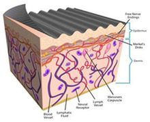 Szó Anikó, Kinesiológiai tape